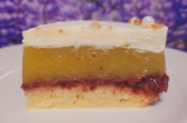 Osvežilne rezine z rabarbaro in brusnicami 19 rabbr1