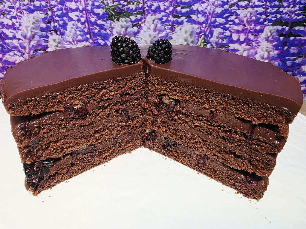 Čokoladna torta z robidami 2 cokoladna torta z robidami 1 1