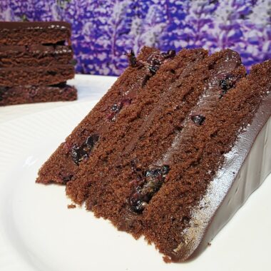 cokoladna torta z robidami