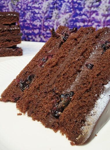 cokoladna torta z robidami